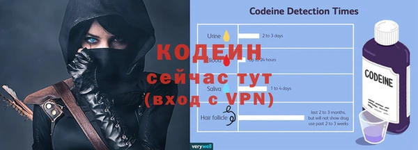 2c-b Козельск
