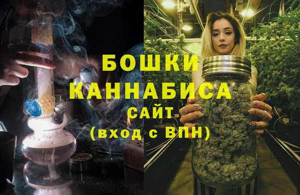2c-b Козельск