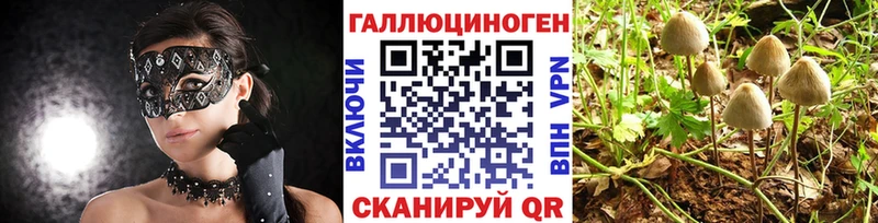 hydra вход  Кедровый  Галлюциногенные грибы мицелий  купить наркотик 
